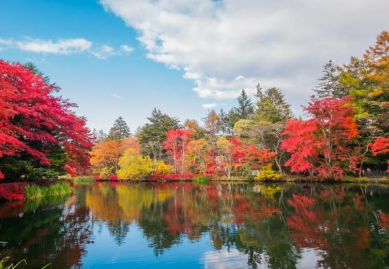 輕井澤旅遊攻略 輕井澤旅遊攻略