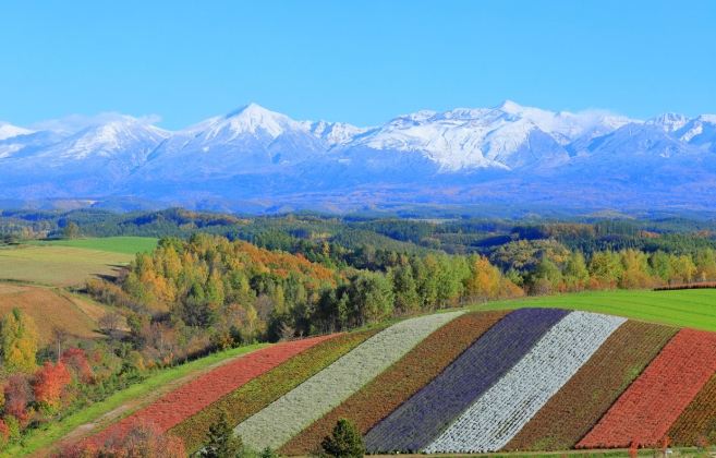 北海道親子景點