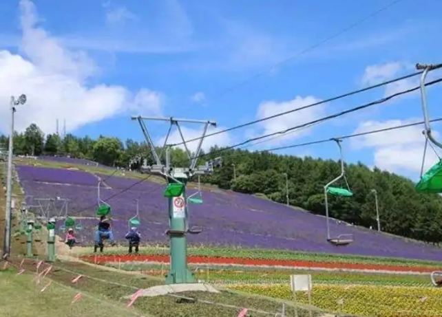 富良野家庭旅遊