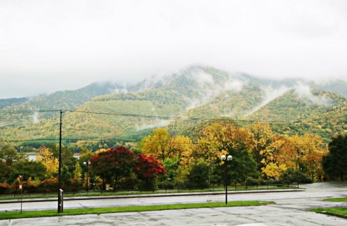富良野旅遊攻略 富良野旅遊攻略