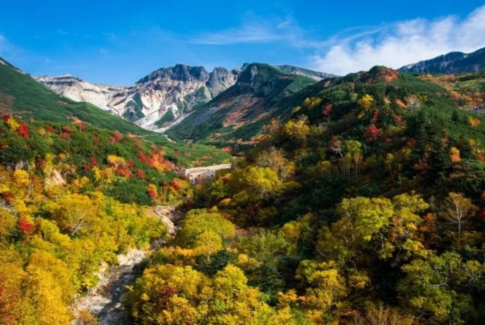 富良野紅葉景點 富良野紅葉景點