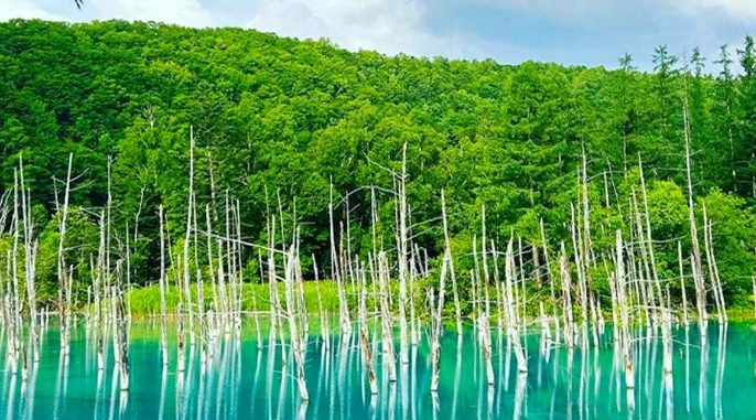 富良野秋季旅遊 富良野秋季旅遊