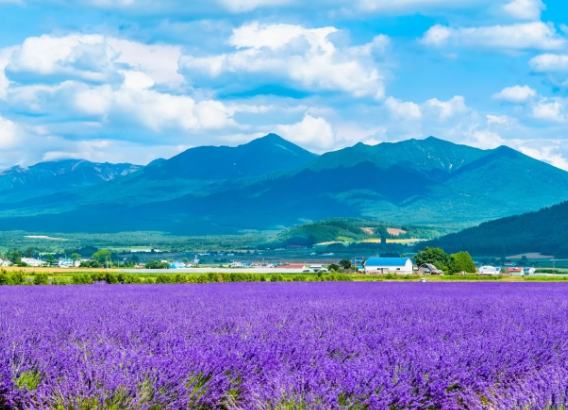 北海道親子景點
