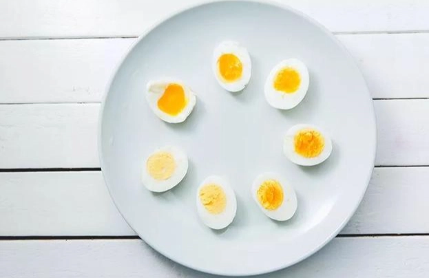 低渣飲食 蛋白質