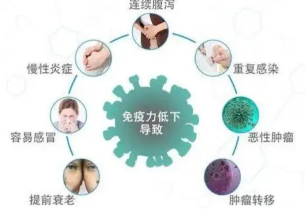 免疫力如何提升