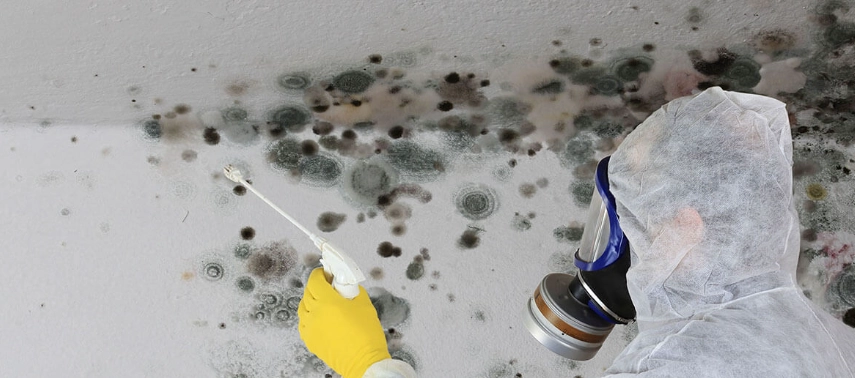 牆壁發霉處理