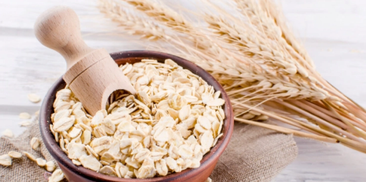 燕麥減肥食譜 燕麥減肥食譜