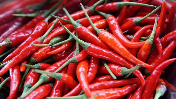 辣椒種植時間 辣椒種植時間