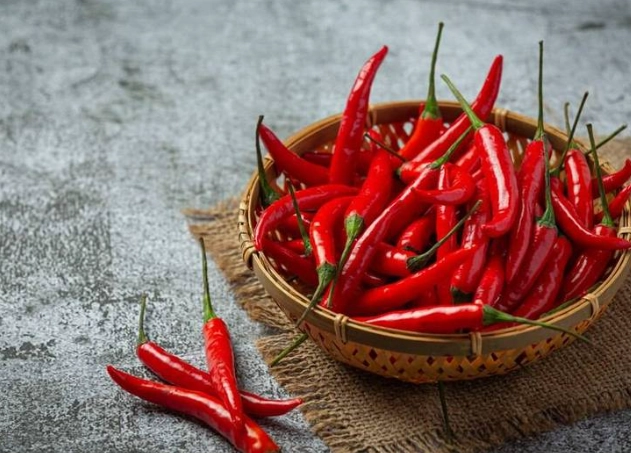 台灣辣椒種植 台灣辣椒種植