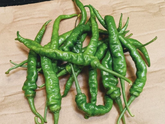 青龍椒炒肉餐廳