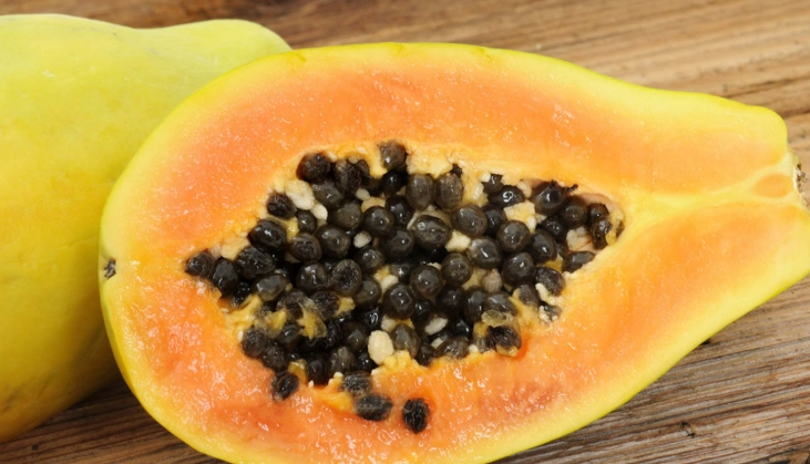 木瓜種植時間表