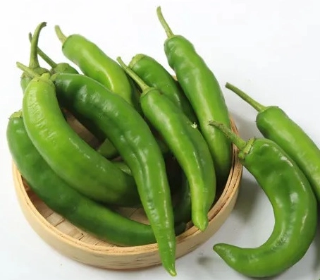 生吃辣椒做法