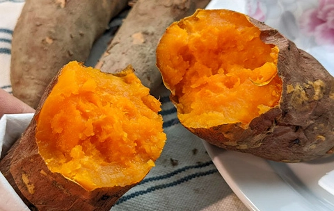 紅肉地瓜 品種
