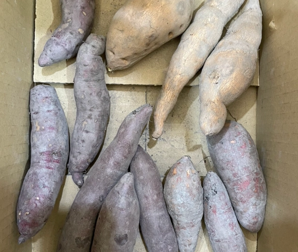 地瓜健康食譜 地瓜健康食譜