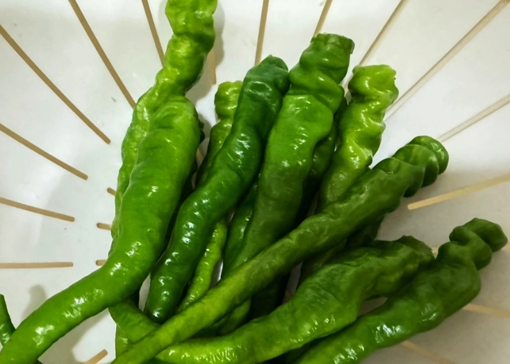 青龍辣椒營養價值