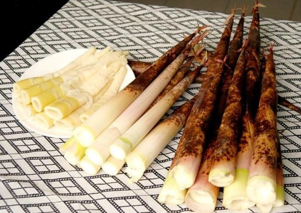 桂竹筍料理 桂竹筍料理