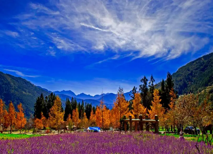 台灣十月花季 台灣十月花季