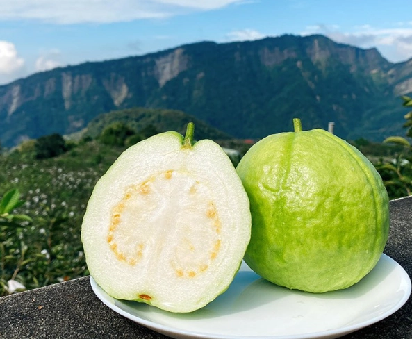 珍珠芭樂吃法 珍珠芭樂吃法