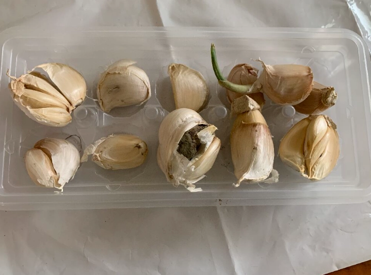 大蒜保存方法