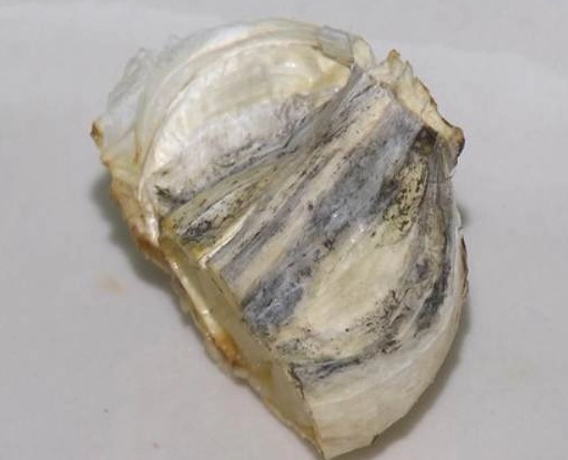 發霉蒜頭