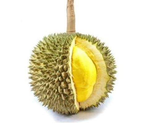 貓山王榴槤