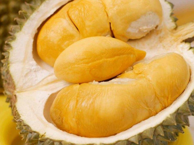 干堯榴槤口感 干堯榴槤口感