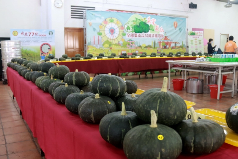 南瓜摘心方法 南瓜摘心方法