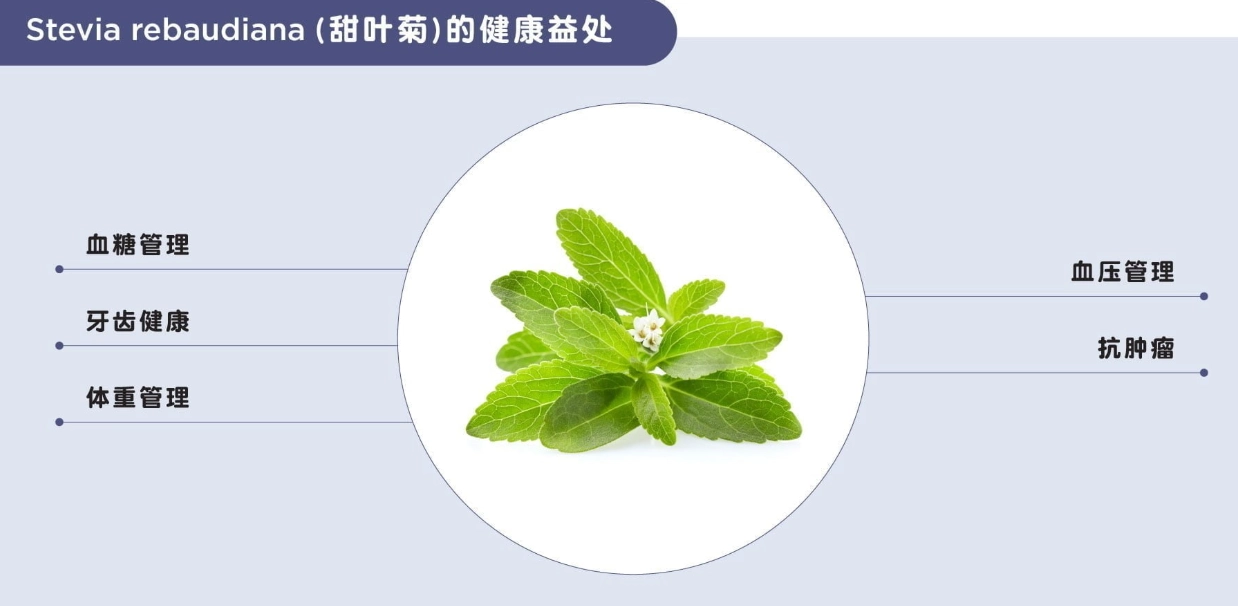 甜菊葉功效 甜菊葉功效