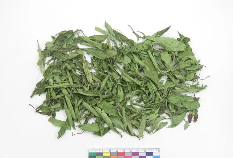 甜菊葉哪裡買 甜菊葉哪裡買