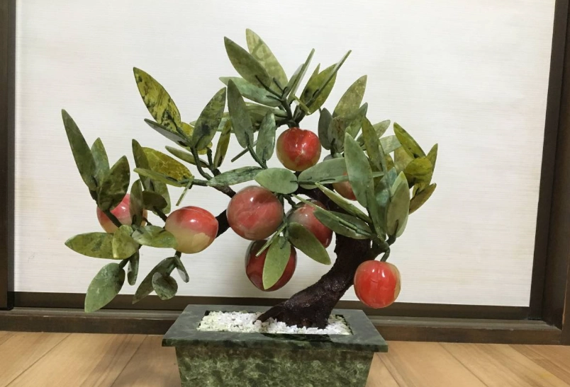 熱帶水蜜桃 盆栽
