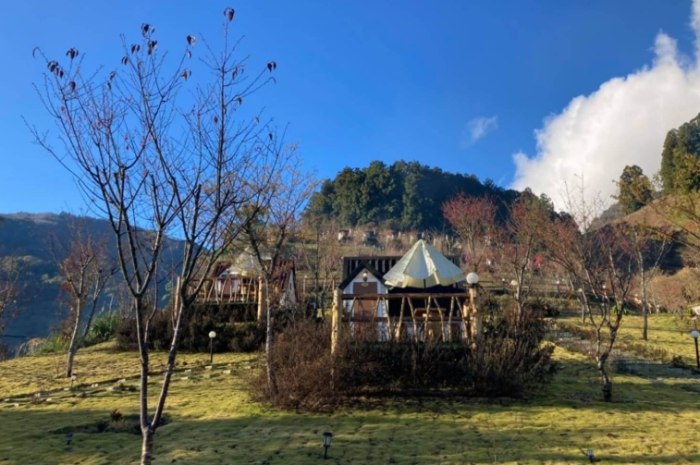 武陵農場附近住宿