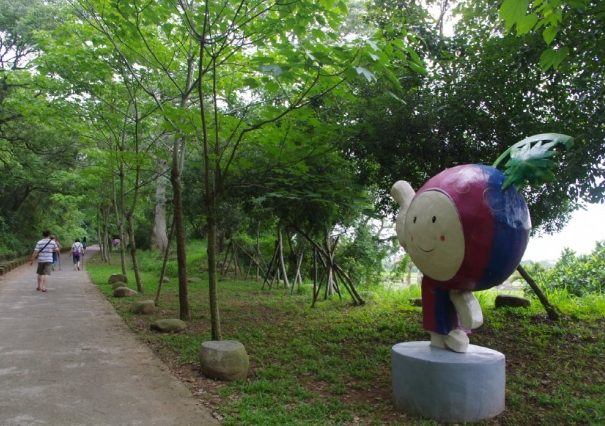永豐六分桐花步道