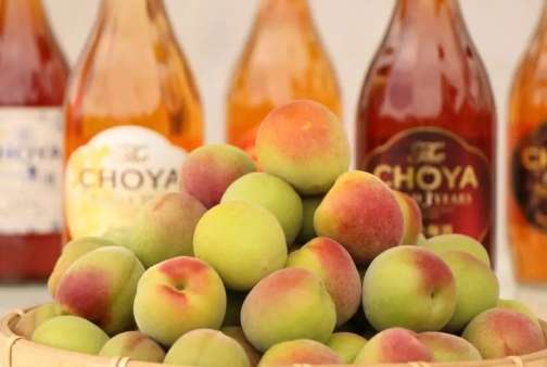 Choya梅酒口味