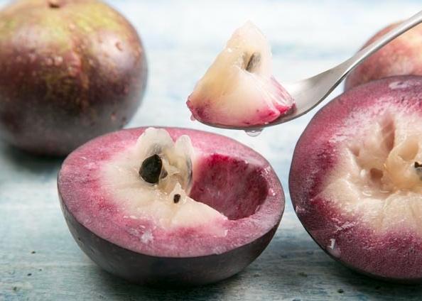 紫色牛奶果安全嗎