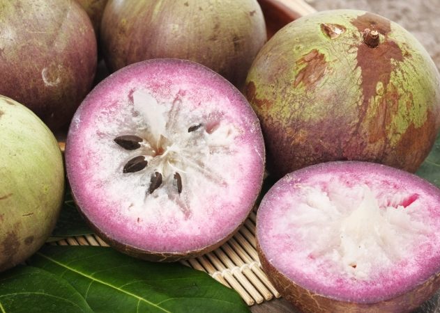 紫色牛奶果安全嗎