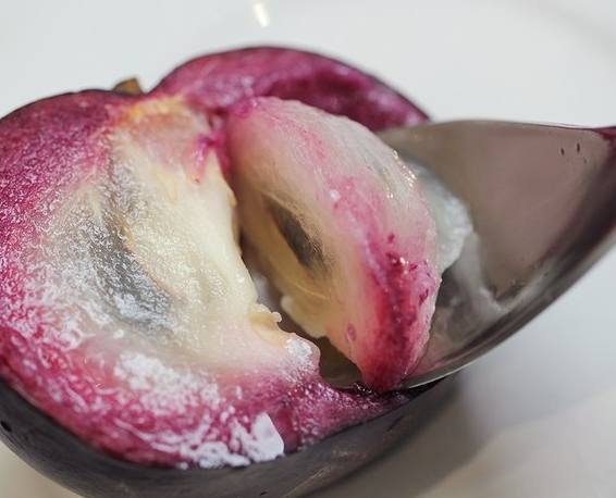 牛奶果紫色食用