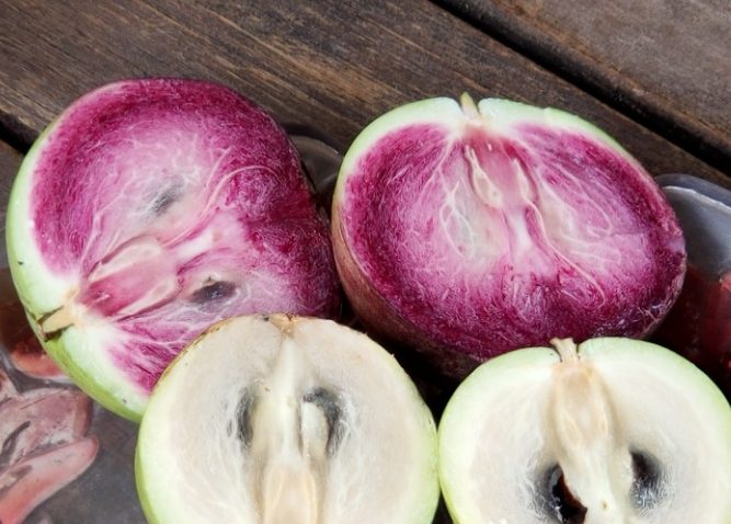 牛奶果營養價值