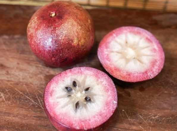 牛奶果營養價值