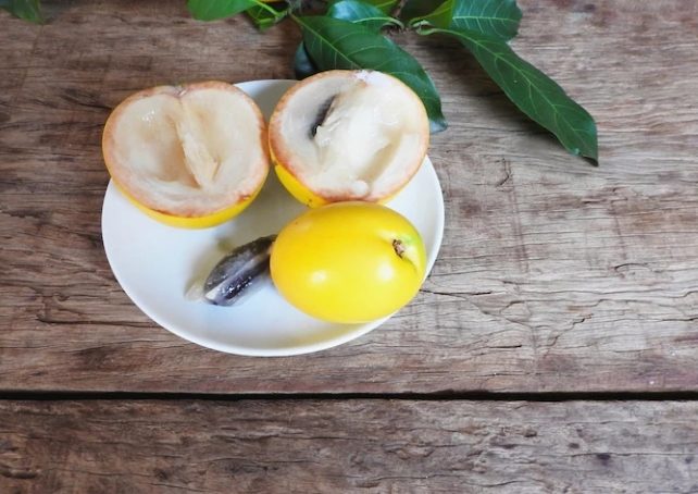 黃金牛奶果吃法