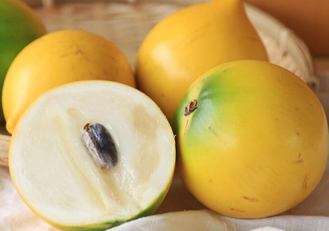 黃金牛奶果營養