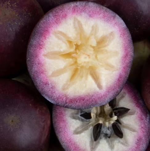 牛奶果好處 牛奶果好處