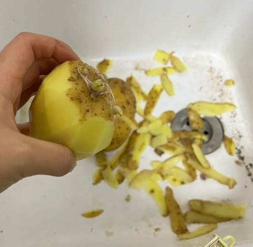 馬鈴薯發芽處理
