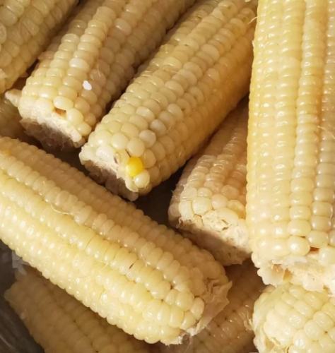 糯米玉米料理
