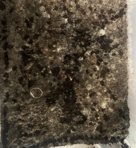 有機肥料製作 有機肥料製作