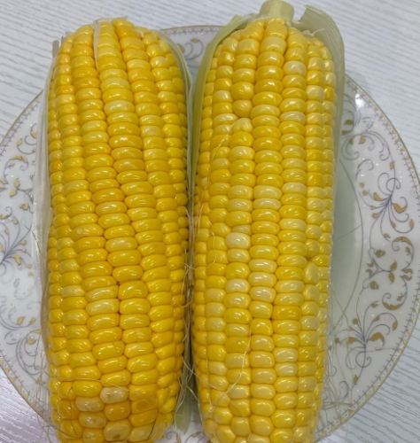 甜玉米煮法