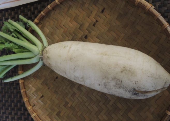 白蘿蔔生食好處