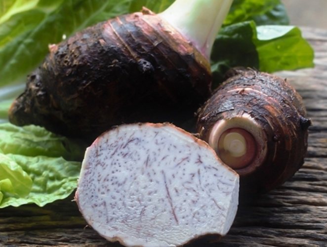 大甲芋頭選購方法