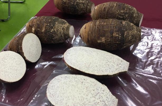 芋頭品質判斷 芋頭品質判斷