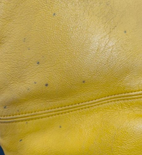 皮革發霉原因