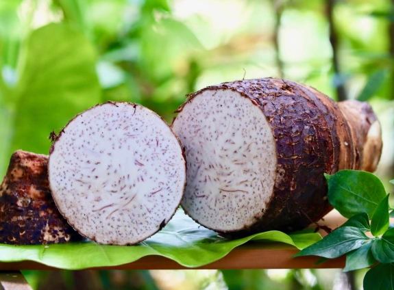 大甲芋頭選購方法